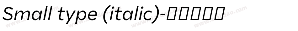 Small type (italic)字体转换